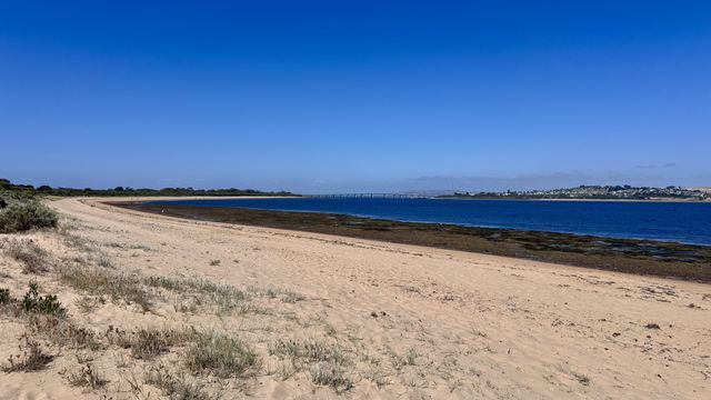 Sandy beach and bridge along a rocky coastline