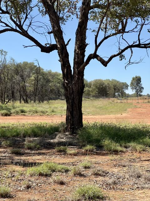 Charleville, Queensland, Australia