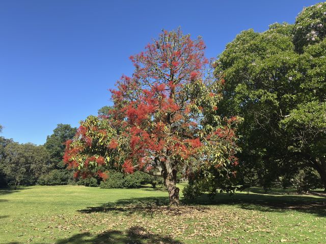 Werribee South, Victoria, Australia
