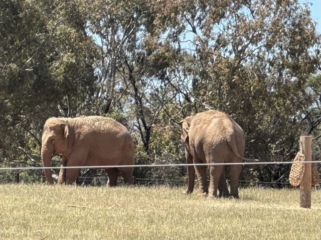 Werribee South, Victoria, Australia