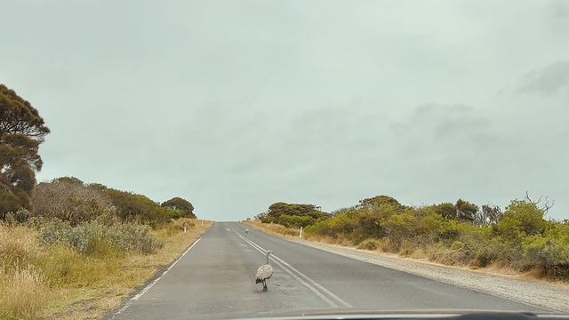 Summerlands, Victoria, Australia