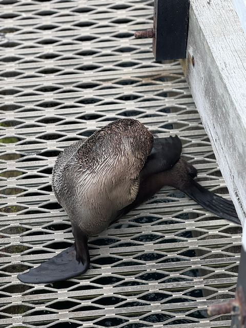 Victoria, Australia
