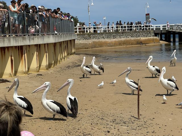 San Remo, Victoria, Australia