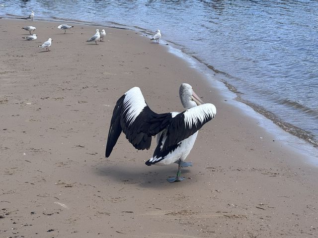 San Remo, Victoria, Australia
