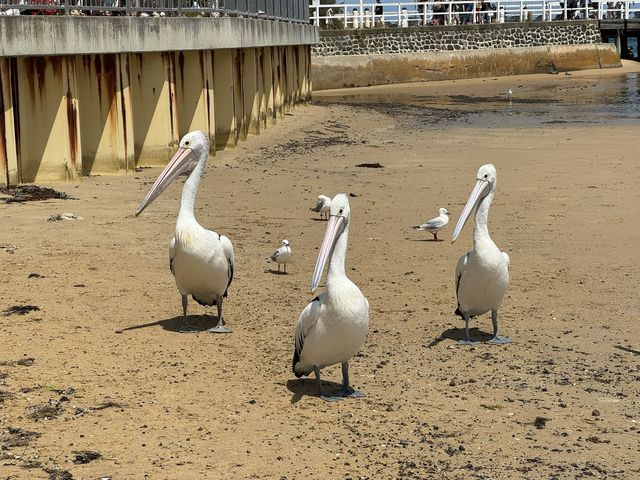 San Remo, Victoria, Australia