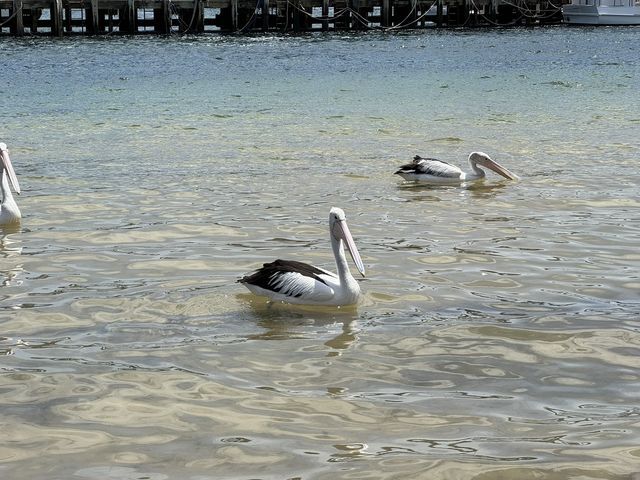 Victoria, Australia