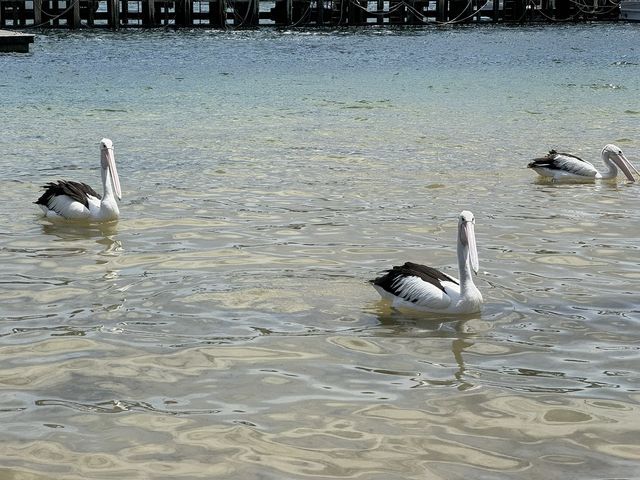 San Remo, Victoria, Australia
