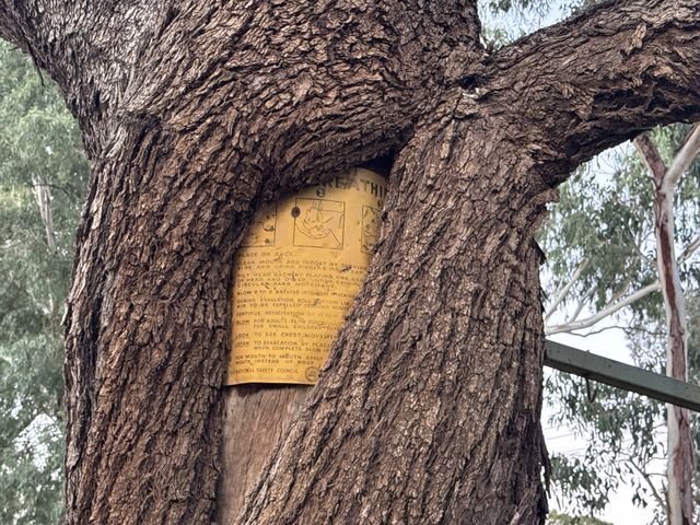 St George, Queensland, Australia