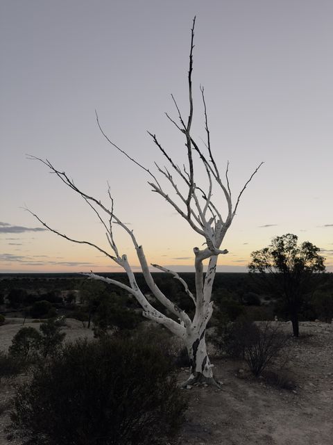 Lightning Ridge, New South Wales, Australia