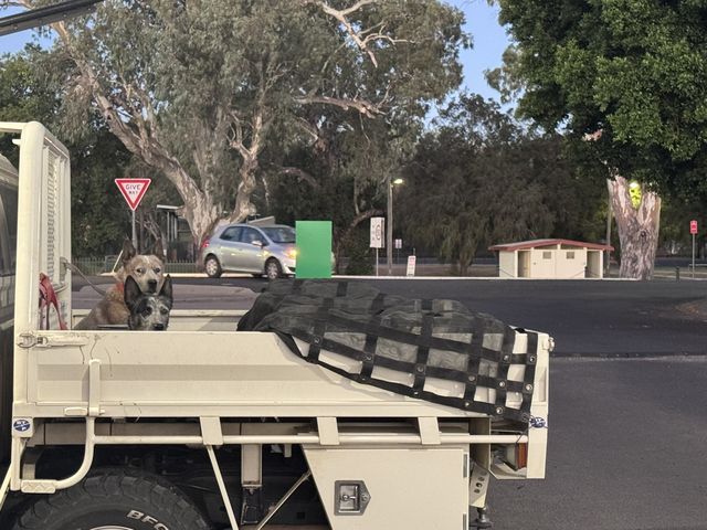 Moree, New South Wales, Australia