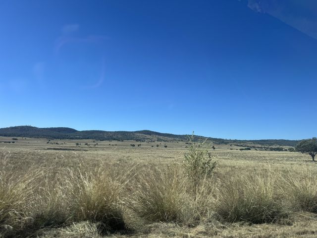 Terrica, Queensland, Australia