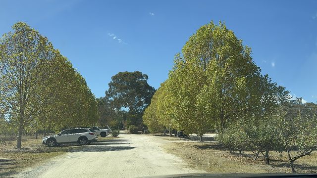 Thulimbah, Queensland, Australia