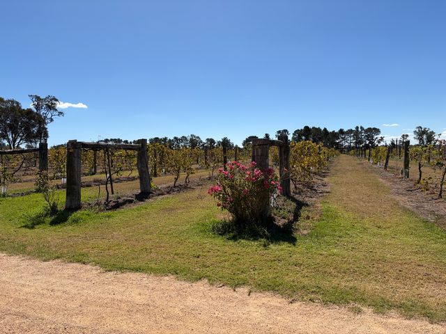Thulimbah, Queensland, Australia